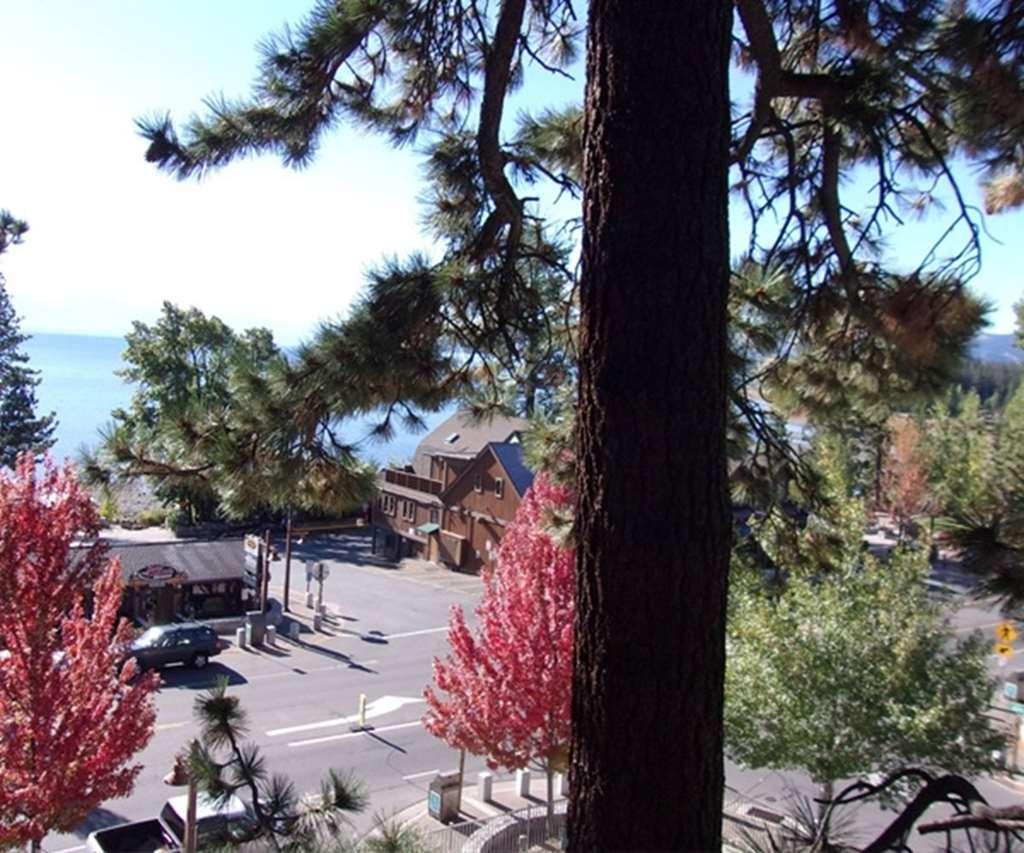 Pepper Tree Inn Tahoe City Pokój zdjęcie