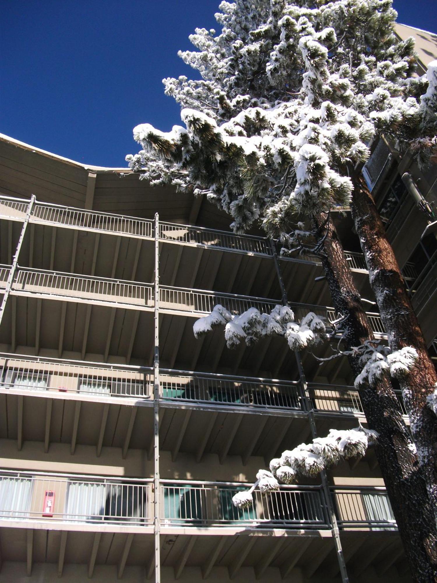 Pepper Tree Inn Tahoe City Zewnętrze zdjęcie